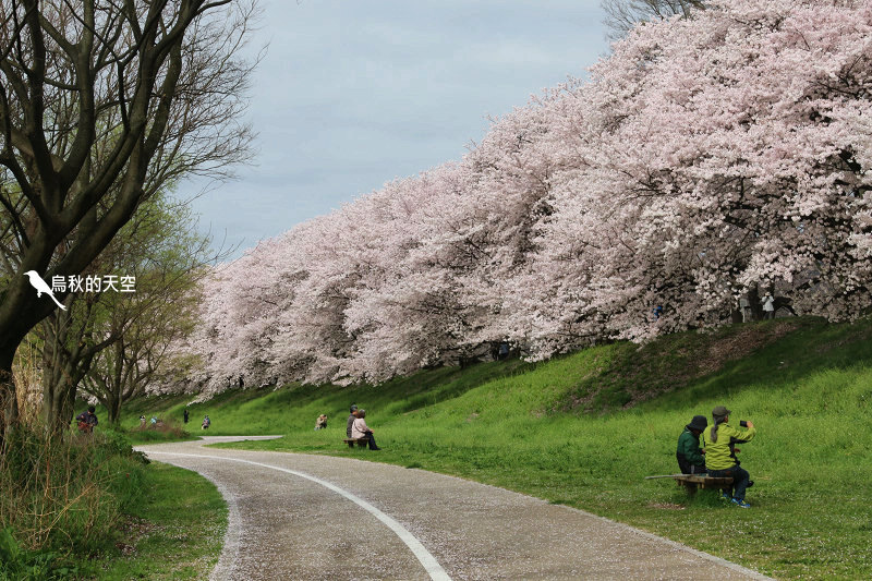 IMG_6757.jpg IMG_6757.jpg