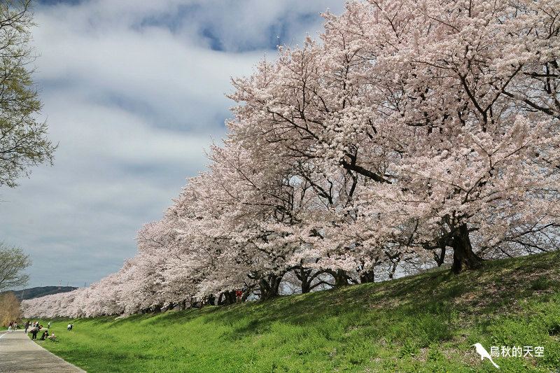 IMG_6790.jpg IMG_6790.jpg