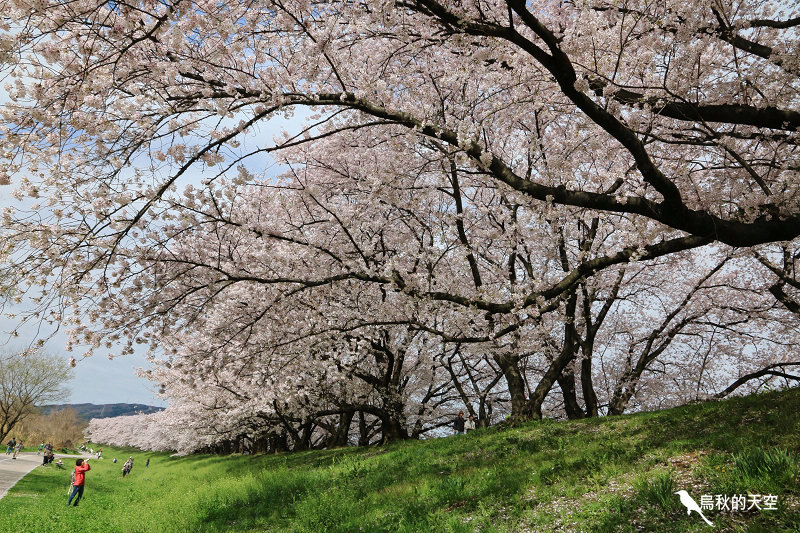 IMG_6786.jpg IMG_6786.jpg