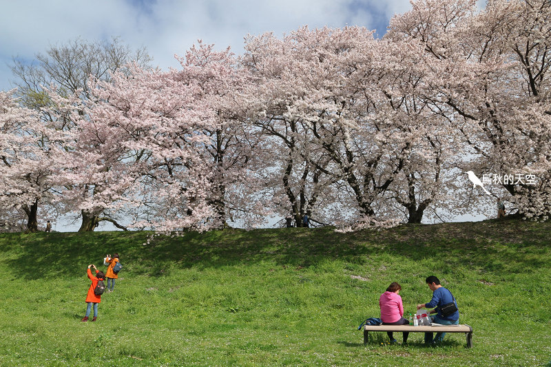 IMG_6815.jpg IMG_6815.jpg