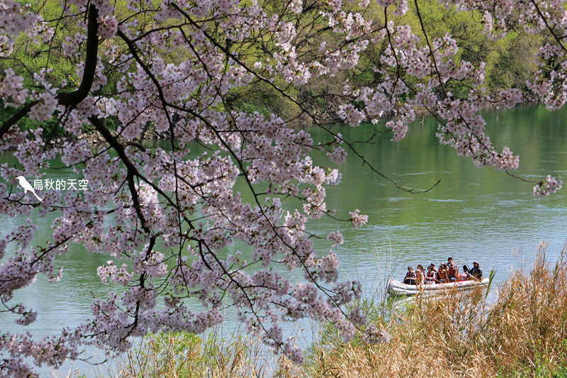 IMG_6847.jpg IMG_6847.jpg