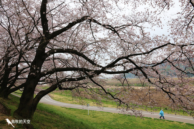 IMG_8001.jpg IMG_8001.jpg