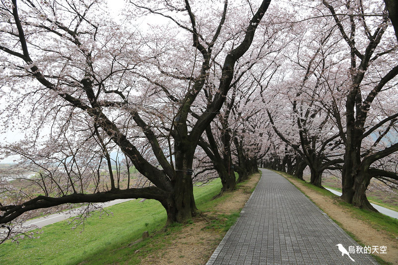 IMG_7992.jpg IMG_7992.jpg