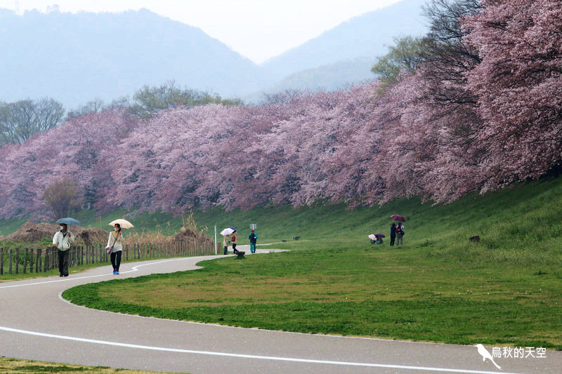 IMG_7959.jpg IMG_7959.jpg