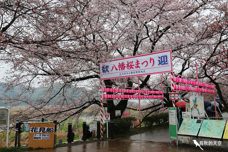 IMG_8017.jpg IMG_8017.jpg