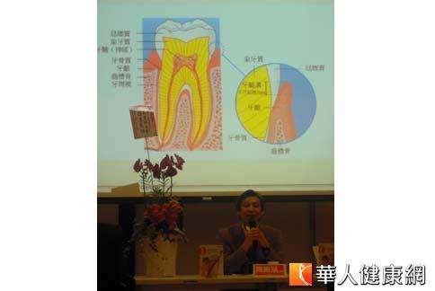 出生後19至31個月　蛀牙的感染之窗((新聞分享))