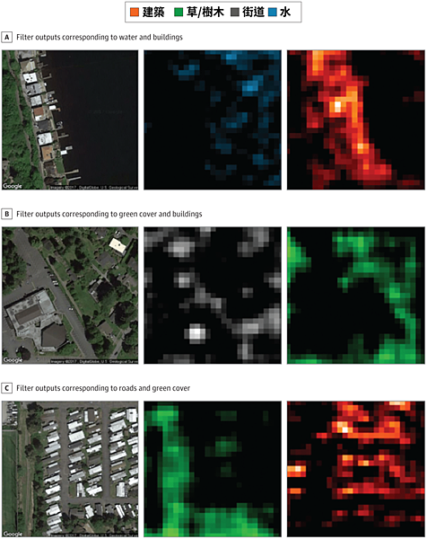 Visualization-of-Features-Identified-by-the-Convolutional-Neural-Network-CNN-Model-e1536222410189.png