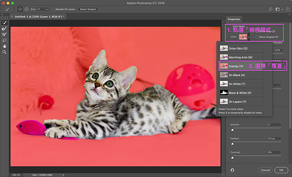 Photoshop選取並遮住-5-覆蓋.png Photoshop選取並遮住-5-覆蓋.png