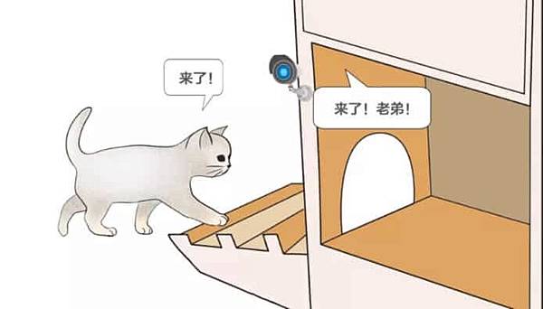 ai-cat-face-detect.jpg ai-cat-face-detect.jpg
