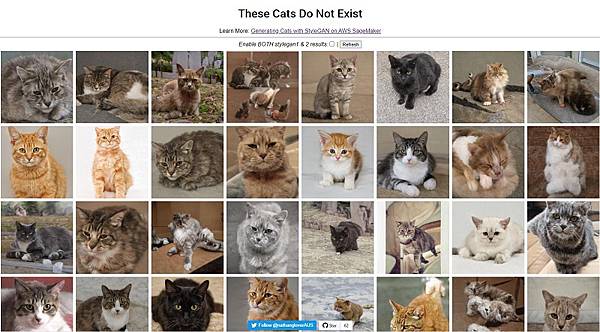 these-cats-do-not-exist.jpg