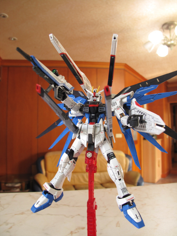 RG Freedom Gundam RG Freedom Gundam