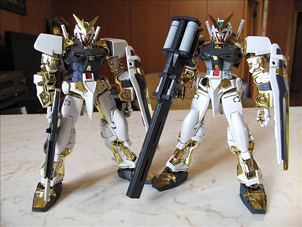 1/100 Gundam Astray Gold Fram...