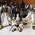 1/100 Gundam Astray Gold Fram...