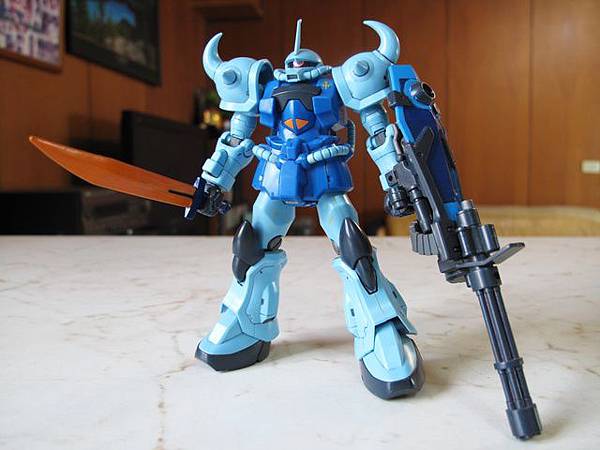 HG Gouf custom