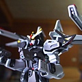 HG Strike Noir