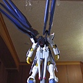 1/60  LE  Strike Freedom