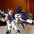 1/100  Strike Freedom