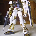 1/100 Astray Gundam Gold Fram...