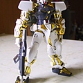 1/100 Astray Gundam Gold Fram...