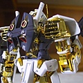 1/100 Astray Gundam Gold Fram...