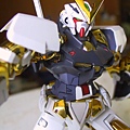 1/100 Astray Gundam Gold Fram...