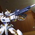 1/100 Astray Gundam Gold Fram...