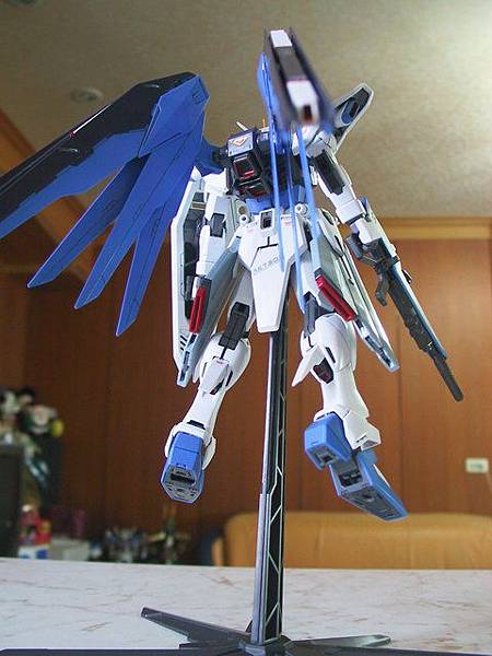 MG  Freedom Gundam