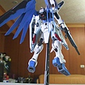 MG  Freedom Gundam