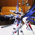 MG  Freedom Gundam