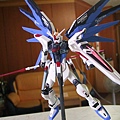 MG  Freedom Gundam