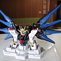 HG Strike Freedom Gundam ver.GFT