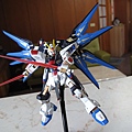 HG Strike Freedom Gundam ver.GFT