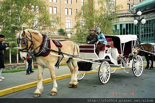 Horse-Drawn Tours.jpg