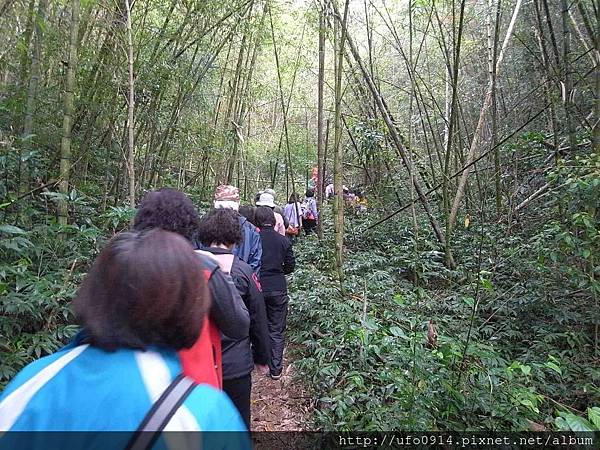 由福盛山農場登四角山