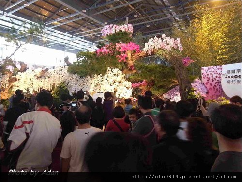 2012台灣國際蘭展10.jpg