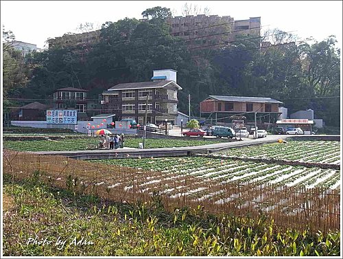 大湖--草莓之鄉2.jpg