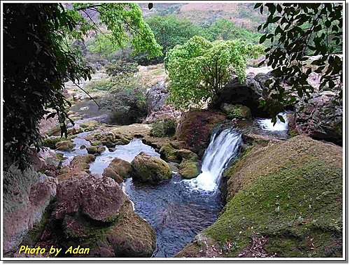 黃果樹。天星橋景區5.jpg