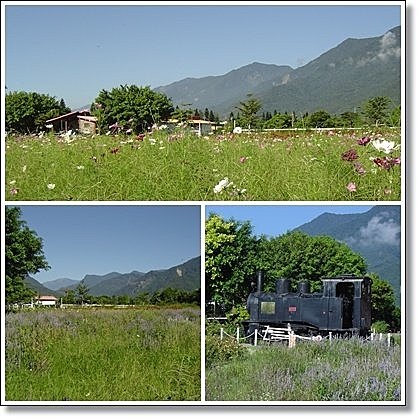 耶斯列花東行。池上牧野渡假村9.jpg