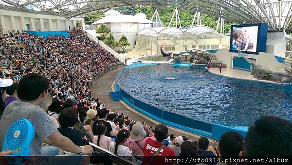 遠雄海洋公園