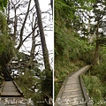 孟祿亭→排雲山莊