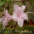 孟祿亭→排雲山莊