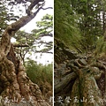 孟祿亭→排雲山莊