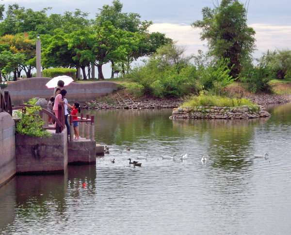 台中都會公園6