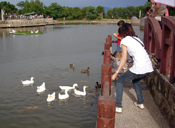 台中都會公園9