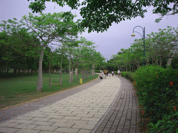 台中都會公園39