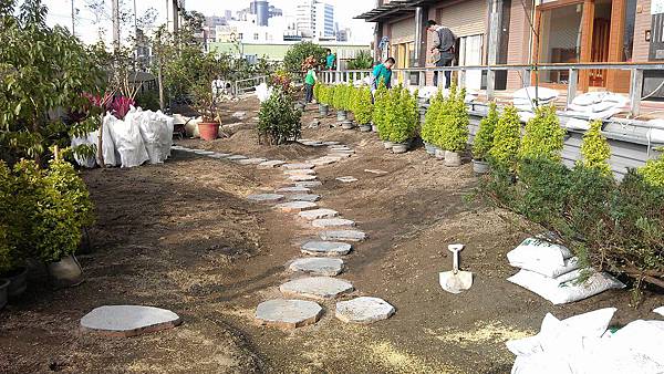 1020113蘆竹光明路庭園工程-6灌木種植及步道石鋪設