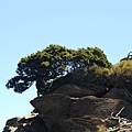 20130526合歡山北峰、西峰 0054.jpg