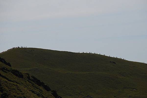 20130526合歡山北峰、西峰 0064.jpg