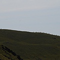 20130526合歡山北峰、西峰 0064.jpg