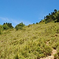 20130526合歡山北峰、西峰 0074.jpg